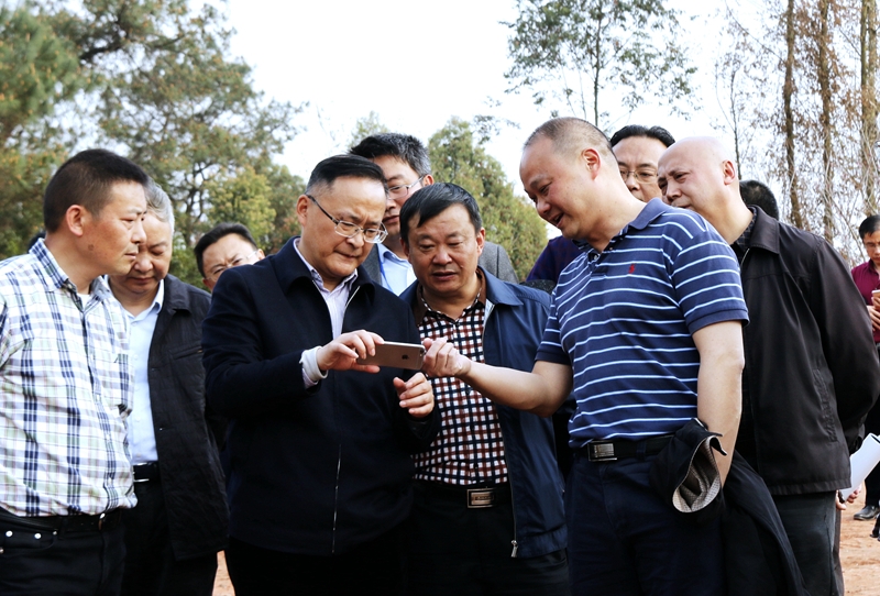 市人大主任譚豹率隊到公司建設(shè)項目新國田園綜合體現(xiàn)場調(diào)研